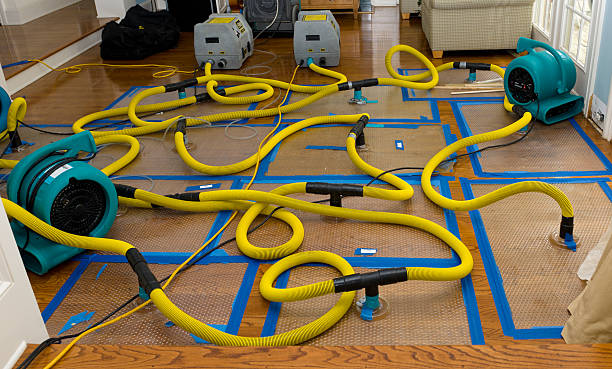 Professional Structural Drying And Dehumidification technician working in Brooklyn, OH
